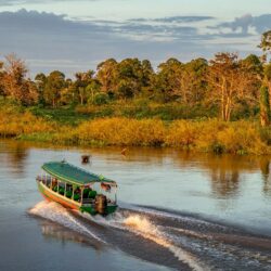amazon_river_res.jpg