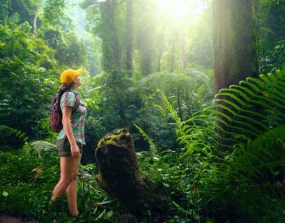 eco-tourism-forest-nature.jpg