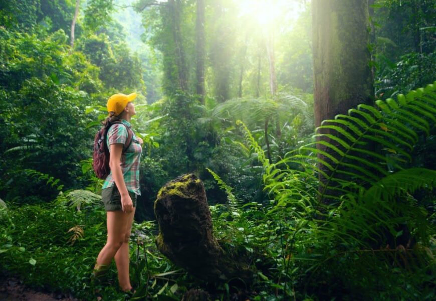 eco-tourism-forest-nature.jpg